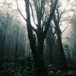 Sintra, Sierra of Secular Mysteries