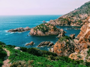 Western Europe Coves