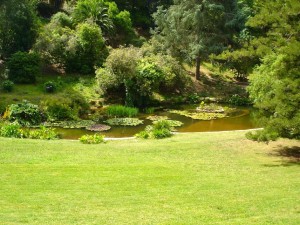 Jardins Inesperados, Capuchos-Monserrate