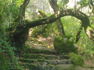 Unexpected Gardens, Capuchos-Monserrate