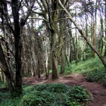 Sintra, Sierra of Secular Mysteries