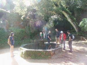 Unexpected Gardens, Capuchos - Monserrate