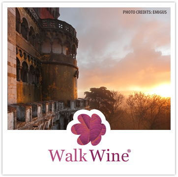Walk Wine