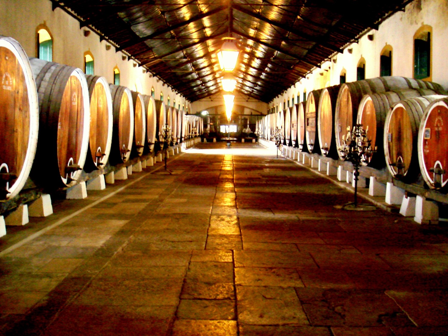 Adega Cooperativa de Colares - Sintra and the wines of the old world