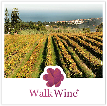 Walk Wine