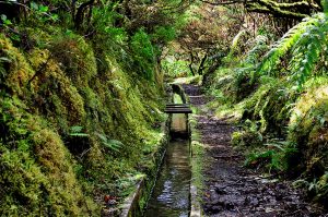 Walk in Azores